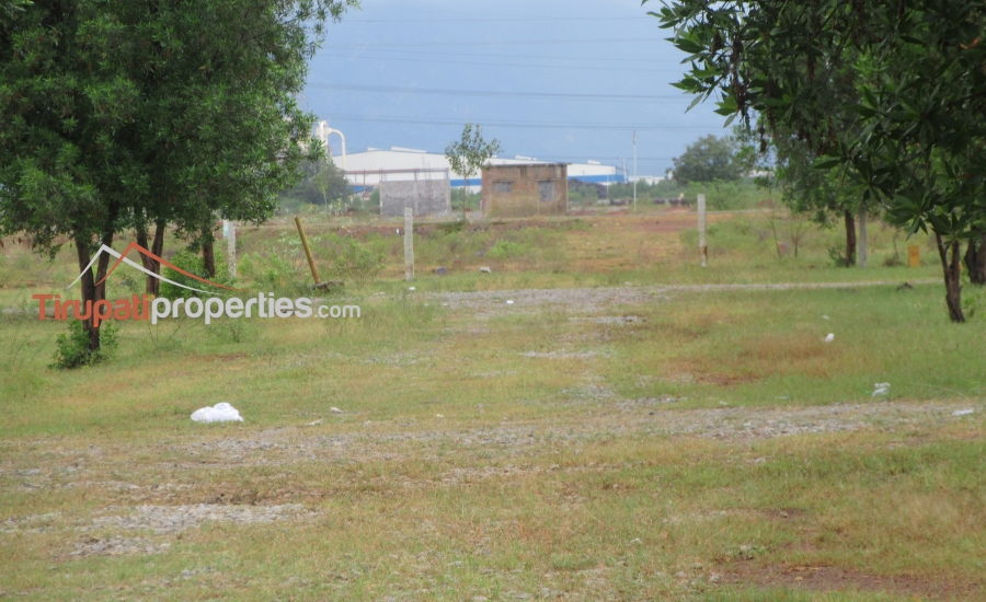 DTCP Approved Plots for Sale at Pangur to Sri Kalahasthi 100’ft Road